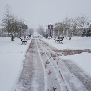 Meet your Posher, Dimas